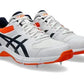 Gel 100 not out new 2025