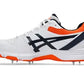 Gel 100 not out new 2025