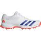 Adidas 22YDS 24 Cricket Shoes